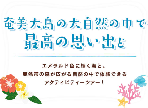 サンゴとヤドカリ 奄美大島のマリンスポーツサービス 観光ツアーサービス